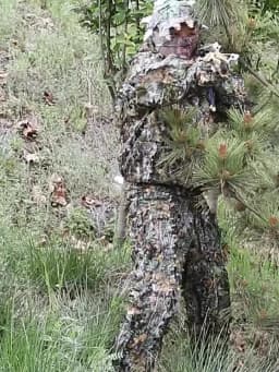 Breathable Camouflage Hunting Suit for Men Woman Lightweight and Hooded Wild Leafy Design woodland hunter ghillie suit  6 in 1