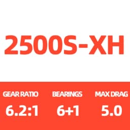 2021 Daiwa Reel LEGALIS CS LT Spinning Fishing Reels 6+1BB Max Drag 12KG Spinning Wheel ZAION V Body