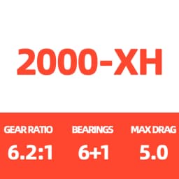2021 Daiwa Reel LEGALIS CS LT Spinning Fishing Reels 6+1BB Max Drag 12KG Spinning Wheel ZAION V Body