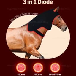 Additional 296 LED red light infrared therapy for relaxing and restoring the neck of horses