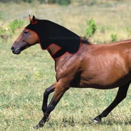 Additional 296 LED red light infrared therapy for relaxing and restoring the neck of horses