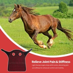 Additional 296 LED red light infrared therapy for relaxing and restoring the neck of horses
