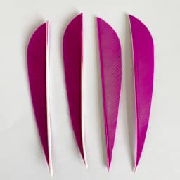100Pcs 4inch Turkey Archery Feather Fletching Arrow Fletches Hunting Right/Left Wings DIY Carbon Wooden Arrow Accessories