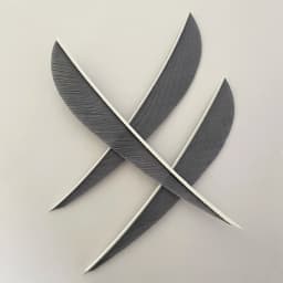100Pcs 4inch Turkey Archery Feather Fletching Arrow Fletches Hunting Right/Left Wings DIY Carbon Wooden Arrow Accessories