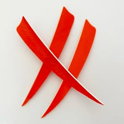 IBOUNFOX 100Pcs Archery Arrow 5 Inch Real Feathers Fletching Right/ Left Wing Shild Cut for DIY Hunting Shooting Shafts