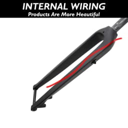 ODINZEUS 3K Carbon Fiber Fork, MTB Bike Fork, Thru Axle 15*100mm, Straight/Conical, Matte/Gloss,26"/27.5"/29" inches,disc brake