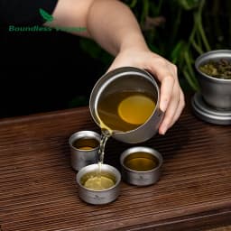 Boundless Voyage Titanium Teapot 250ml All-in-One Home Travel Tea Set Ultralight Portable Double Walled Tea Maker for Loose Leaf