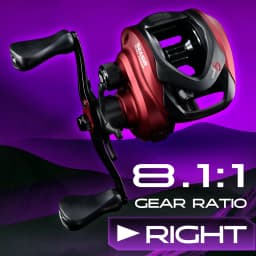SEASIR SYNCO Baitcasting Reel 6.4/7.3/8.1 Gear Ratio Brass Gear NMB Bearings 5+1 Resistant 8kg Drag Saltwater Fishing Reel