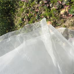 60 Mesh Net Garden Protection Net Mist Net Bird Net Nylon Plastic Net Greenhouse Vegetable Insect Net For Birds Chicken Dog Cat