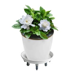 Flower Plant Pot Tray With Wheels Heavy Planter Flowers Pot Mover Trolley Plate Stand Holder Metal Flower Pot Mover Garden Tool