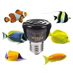 25W 50W 75W 100W 220V Ceramic Far Infrared Pet Heating Lamp E27 Lamp Holder For Reptile Pet Winter Heating Supplies Drop Ship