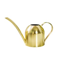 Stainless Steel Watering Can for Outdoor Plants, Long Spout Watering Pot, Watering Device, Meaty Bonsai Garden Tool, 500ml