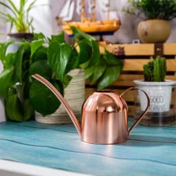 Stainless Steel Watering Can for Outdoor Plants, Long Spout Watering Pot, Watering Device, Meaty Bonsai Garden Tool, 500ml