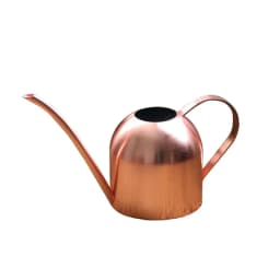 Stainless Steel Watering Can for Outdoor Plants, Long Spout Watering Pot, Watering Device, Meaty Bonsai Garden Tool, 500ml