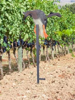 Outdoor Hunting Decoy Duck Wireless Remote Control Electric Simulation Decoy Wind Rotating Garden Pastoral Decoration