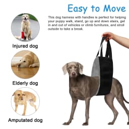 Pet Rehabilitation Portable Dog Sling For Back Legs Auxiliary Lifting Belt For Large Dogs Walking Aid Belt For Legs Diplomatic