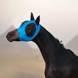Anti Fly Mesh Equine Mask Horse Mask Stretch Bug Eye Horse Fly Mask With Covered Ears Horse Fly Mask Long Nose With Ears 1PC
