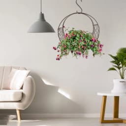 Home Succulent Iron Wreath Moon Shaped Metal Hanging Planter Moon Shape Iron Wire Succulent Pot For Home Garden Decoration