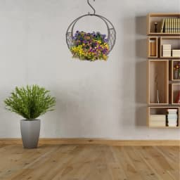 Home Succulent Iron Wreath Moon Shaped Metal Hanging Planter Moon Shape Iron Wire Succulent Pot For Home Garden Decoration