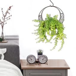 Home Succulent Iron Wreath Moon Shaped Metal Hanging Planter Moon Shape Iron Wire Succulent Pot For Home Garden Decoration