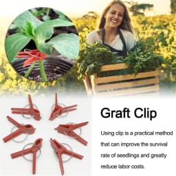 50 PCS Plastic Plant Clips Supports Connects Reusable Protection For Vegetable Cucumber Eggplant Watermelon Vine Seed Grafting