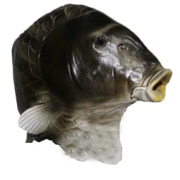Realistic Fish Mask Latex Animal Head Mask Gray Fish Costume Headwear Masquerade Party Adult