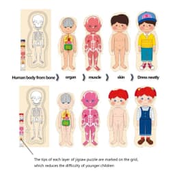 Human Body Puzzle Wooden Boys Girls Body Structure Children Puzzles Montessori Educational Children Toys Kids Toys