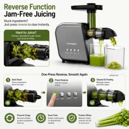 250W Slow Cold Press Fruit Juice Extractor, Anti-jam Reverse, Easy Clean, BPA-Free Quiet Household Vegetable Juicer