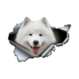 3D Lovely Pet Dog Car Sticker Pug Samoyed Dachshund Dog Torn Metal Sticker Waterproof Car Styling Pet Dog Decal 8x4inch