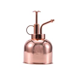 Brass Watering Can Spray Bottle Vintage Water Cans Succulent Plants Golden Gardening Spraying Bottle Watering Pot Garden Tool