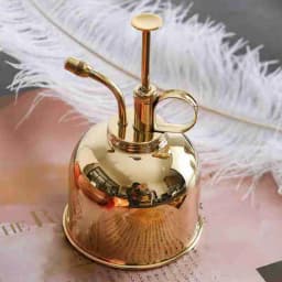 Brass Watering Can Spray Bottle Vintage Water Cans Succulent Plants Golden Gardening Spraying Bottle Watering Pot Garden Tool