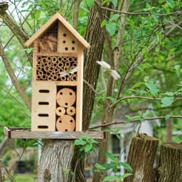 Insect House Wooden Insect Hotel Natural Nesting Habitat Insect Breeding Nest For Outdoor Garden Yard Bee Butterfly