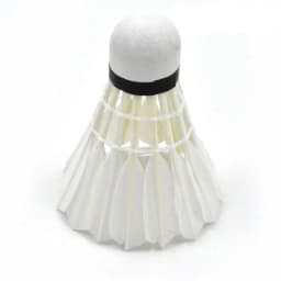 12Pcs/lot Badminton Natural Duck Feather Balls Training Badminton White Feather Shuttlecock For Sports Practice Equipment