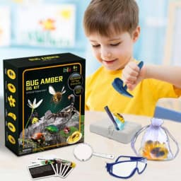 Excavate Fly Toys Kit Amber Excavation Toys Fly Model Interactive STEM Toy Science Kits Educational Toys Dig Set Animal