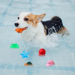 Bath Squeeze Toy Sea Creatures Pool Toys Bathtub Squeeze Squirts Kids Bath Toy Squirt Shower Water Toys Multi-Purpose For Home