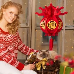 Chinese Paper Lanterns Lucky Non-woven 3D Puzzle Lanterns 2024 Spring Festival Chinese New Year Decorations Hangings Ornaments