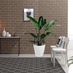 Black Garden Plant Support Cages Obelisk Trellis Growth Support Stand For Climbing Vines And Flowers Outdoor Gardening Rose Tree