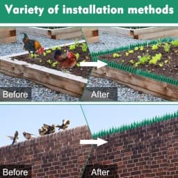 10pcs Plastic Anti-bird Stab Pigeons and Scare Birds Control Anti-cat Anti-theft Fence Wall Nail Bird Repellent Spikes