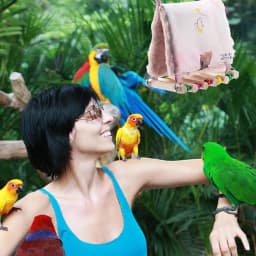 Bird Nesting Bed Soft Bird Bed For Cage Warm Bird Nest Winter Bird House For Squirrels Parrot Sparrow For Sleeping And Hatching