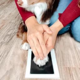 Cat Dog Paw Print Ink Kit Pad Safe Non-toxic Baby Footprints Newborn Shower Handprint Easy Diy Clean Touch Inkless Pet Souvenir