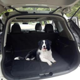 Dog Car Seat Cover Washable Non-Slip Waterproof Cargo Mat Liner For Dog Anti Scratch Car Mats Breathable Easy Installation