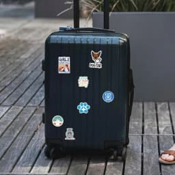 Veterinary Stickers Cute Veterinary Decals Vet Doctor Notebook Material Stickers 50 PCS Waterproof Decals Laptop Accessories For