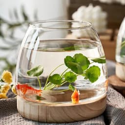 Clear Glass Vases Fish Tank With Wooden Base Hydroponic Plant Vase Ecological Fish Tank Flower Vase Centerpiece Decorative