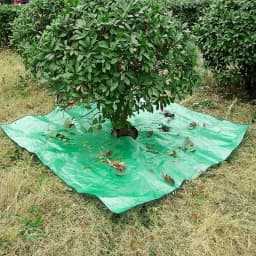Bush Trimming Catcher Pruning Tarp With 12 Inches Hole And Corner Buckles Garden Tree Pruning Waterproof Tarp Four Corners