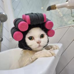 Hair Roller Cap Headgear Dog Hat Hair Rollers Fake Bangs Funny Photography Props For Small Dog Cat