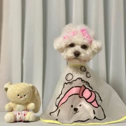 Hair Roller Cap Headgear Dog Hat Hair Rollers Fake Bangs Funny Photography Props For Small Dog Cat