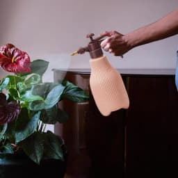 Garden Spray Bottle Plant Mister Spray Bottle Water Sprayer Fine Mist Pressure Sprayer Bottle Portable Sprayer For S Plant Home