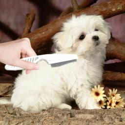 Tick Comb Lice And Flea Brush 2 Pcs Pet Hair Removal And Grooming Tool Pet Supplies Flea Removal Comb For Puppy Cat Dog