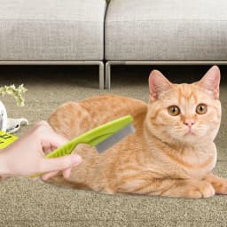 Tick Comb Lice And Flea Brush 2 Pcs Pet Hair Removal And Grooming Tool Pet Supplies Flea Removal Comb For Puppy Cat Dog