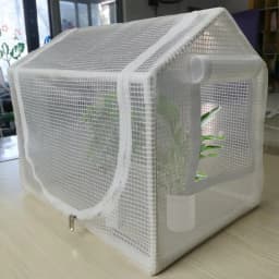 Mini Greenhouse Outdoor Flower House Easy Set Up UV Protected Thickened PE Cover Roll-up Zippered Window Patio For Outdoor